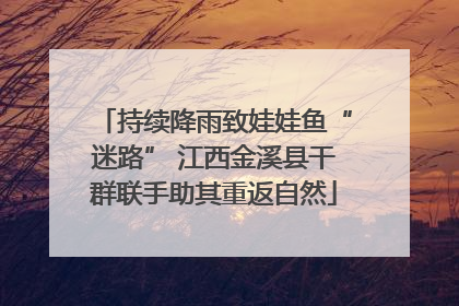 持续降雨致娃娃鱼“迷路” 江西金溪县干群联手助其重返自然